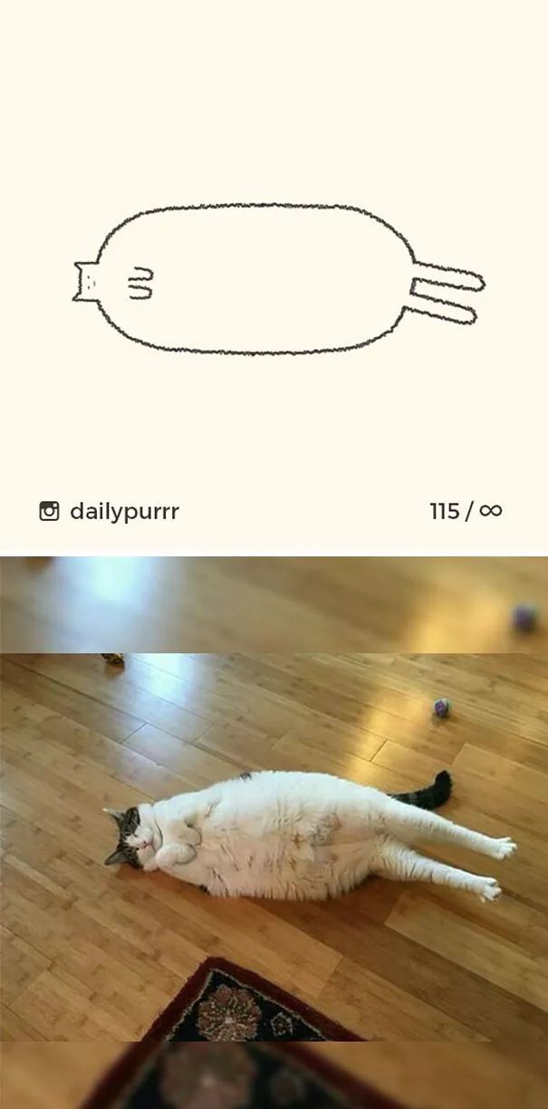 关于猫的肖像画,猫各种形态的影子画
