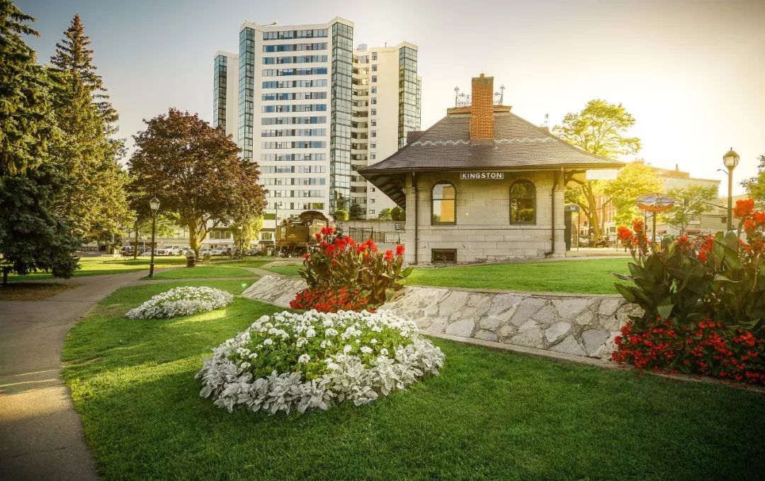 世界十大寻爱之地，凭什么是金斯顿？