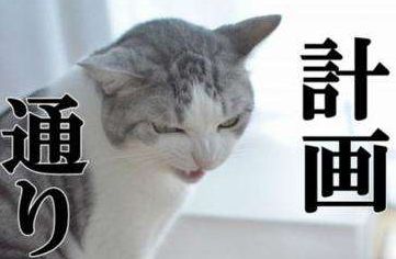 美国队长正面全身照,美国队长全身写真