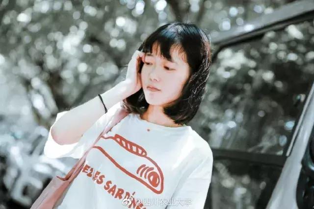 那么多关于温江的回忆，这让我怎么注销QQ