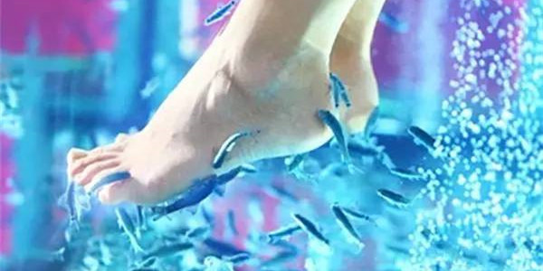 鱼疗有什么危险,鱼疗会感染疾病吗