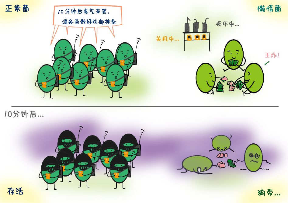 对付猪队友,对付小猪最好的办法