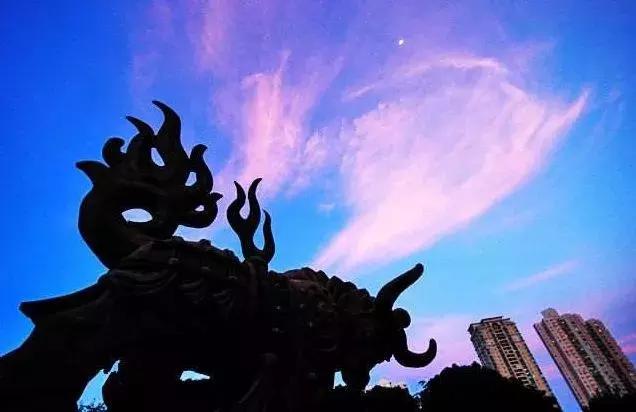 深圳必看的免费景点,玩转深圳十大免费景点