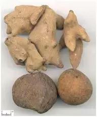 中草药治鱼病？听听专家怎么说~