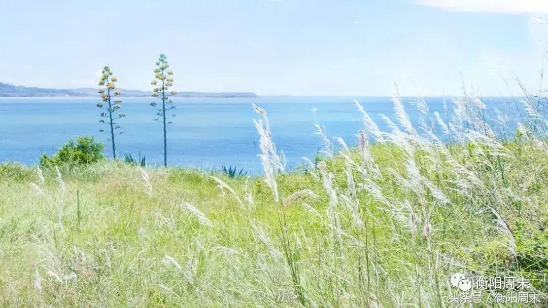 媲美济州岛，秒杀北爱尔兰，厦门旁这座世界级火山岛，竟没人知道