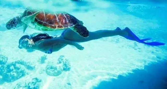 泰国普吉岛旅游攻略及费用,泰国旅游普吉岛攻略