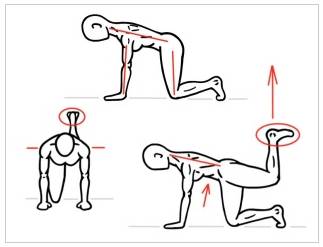 臀部肌肉萎缩会造成髋关节弹响,跑步时关节弹响是什么原因