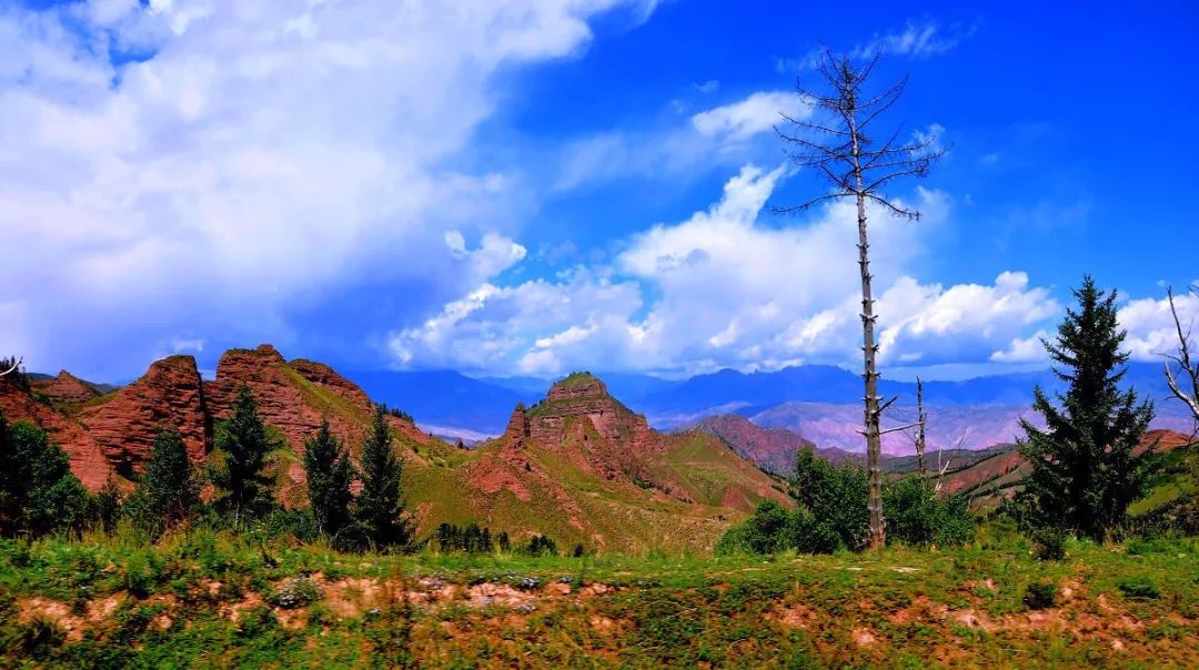 旅游一日游塔尔寺,塔尔寺一日游推荐