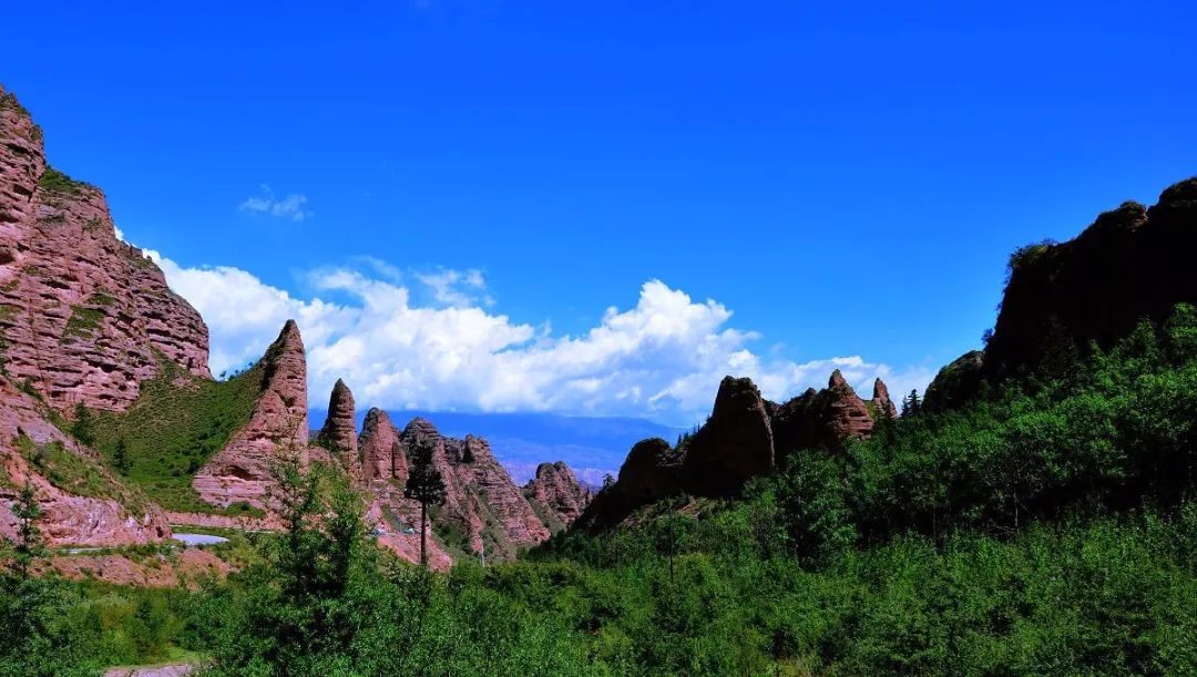 旅游一日游塔尔寺,塔尔寺一日游推荐