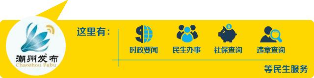 个人所得税app新人怎么操作,个人所得税app灵活就业