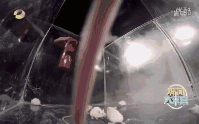 干粉灭火器干粉会在空中飘多久,吸入干粉灭火器有什么后果