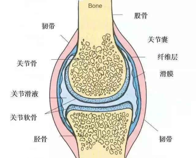 膝盖滑膜炎可以做些什么运动,运动导致滑膜炎膝盖疼能自愈吗
