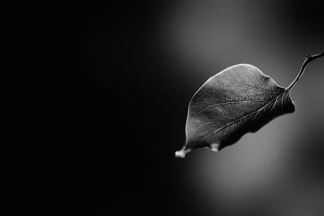 听教育学家讲故事心得体会,听教育学家讲故事的感悟