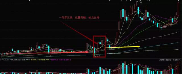 中国股市赚钱最多的股票,赚钱能力最强的16种人