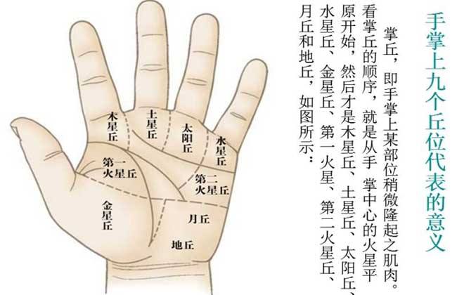 女性右手十字纹和通天纹,五条手纹的命运