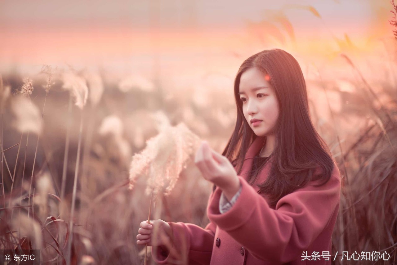 那天，我上了恶魔的车