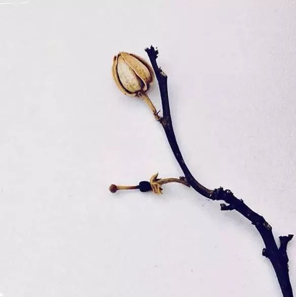 女人戴蜜蜡的禁忌,为什么戴蜜蜡的女人不能碰