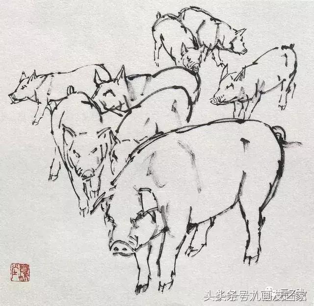 十二生肖猪水墨画简单的画法,学画猪的100种画法