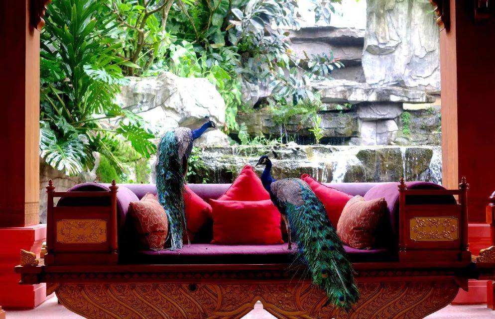 探秘神秘的小镇,探秘边境风景