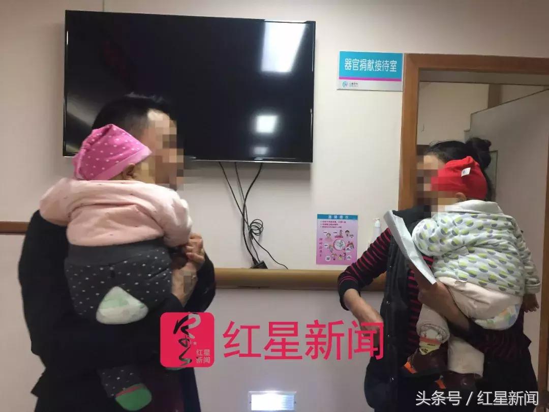 黄疸胆道闭锁能自愈吗,父母割肝救子完整版