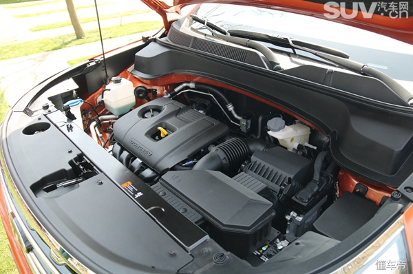 惊喜不断特价不断,惊喜不断喜讯连连