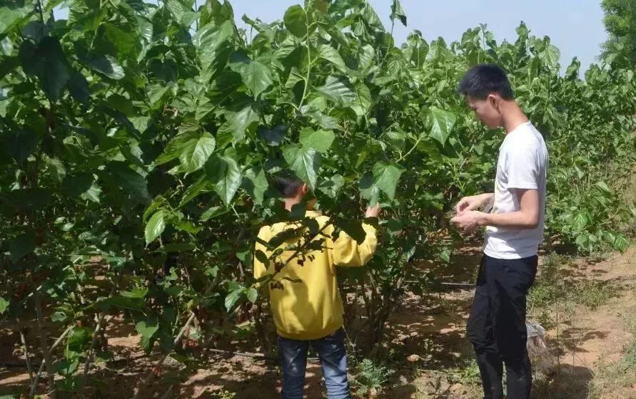 孟津周边一日游的绝佳去处,孟津秋季游必去的地方