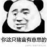成人社交礼仪常识大全,成年人必须懂的社交规则