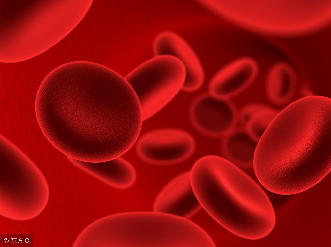 贫血很难补血血压还降落了,贫血血压又高怎么回事