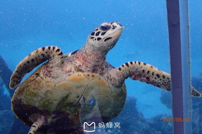 蜜月胜地之马尔代夫,马尔代夫芙拉瓦丽浪漫的梦幻之地