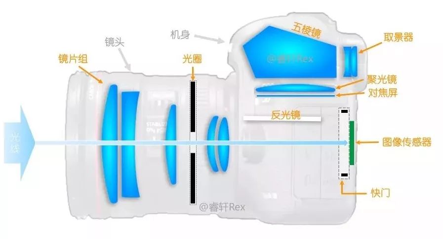大个头的大智慧！来聊聊什么是单反