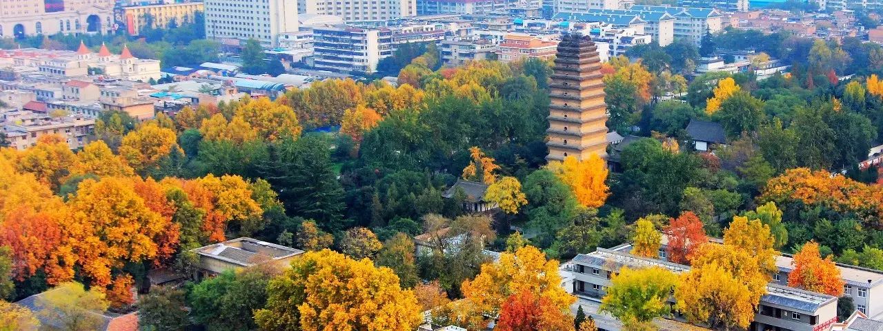 迪拜塔灯光设计师西安首秀｜华阳城光影艺术闪耀城东