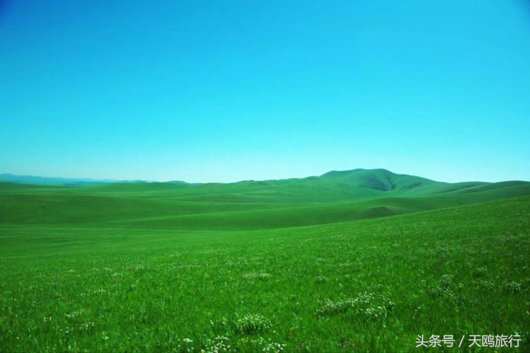 狼图腾大草原旅游,乌拉盖草原亲子游