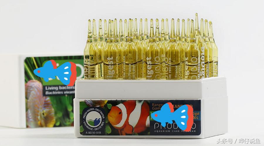 硝化细菌宠物鱼,硝化细菌养宠物鱼