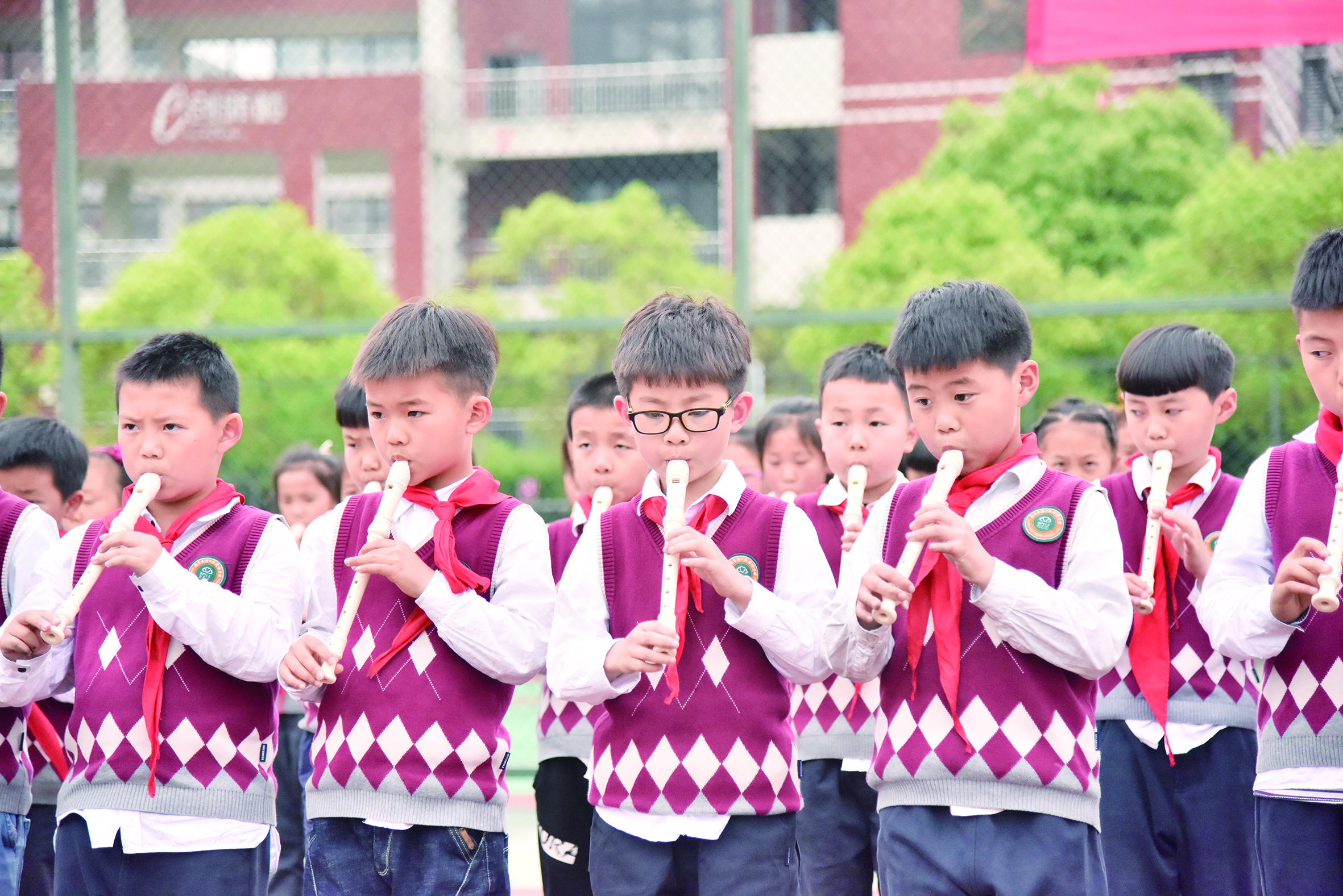 南京浦口外国语学校2019,成就高品质学校