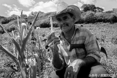 阿根廷是如何从一流强国衰落的,发展中大国阿根廷
