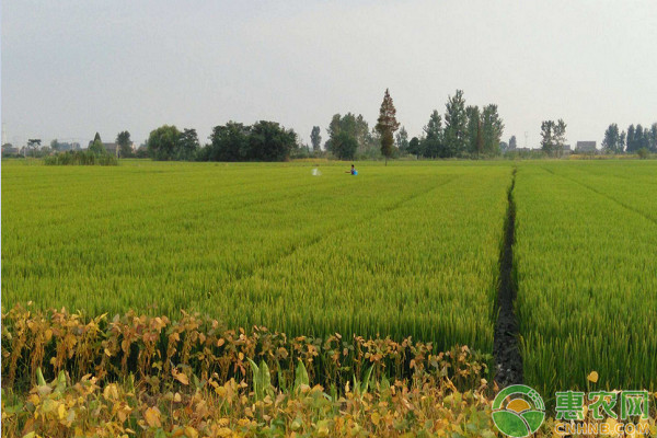 贫困户申请补助金怎么申请,符合贫困户申请条件的标准