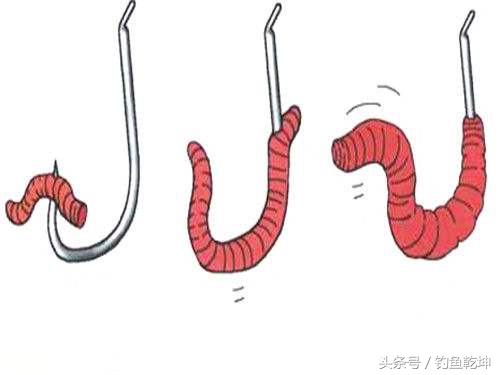 钓鱼用不完的蚯蚓冬季怎样养活,买钓鱼的蚯蚓怎么保存