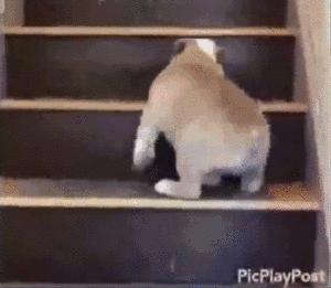 练腿以后不拉伸腿会变粗么,练腿不拉伸会疼吗