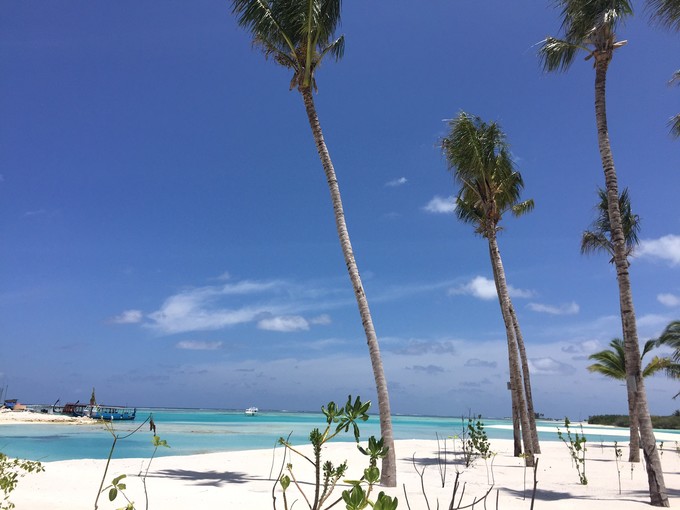 马代有毒，去过就停不下来~马尔代夫奥臻岛ozen