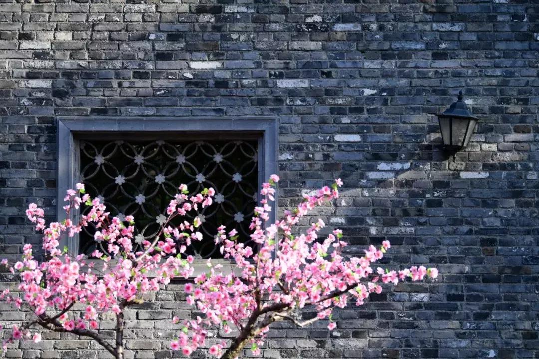 嘉兴西塘旁边还有什么好玩的地方,乌镇和西塘都在嘉兴吗