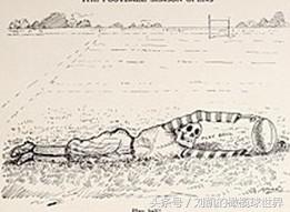 rugby怎么玩,rugby世界排名