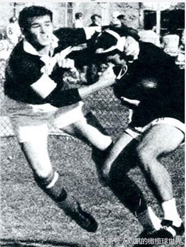 rugby怎么玩,rugby世界排名