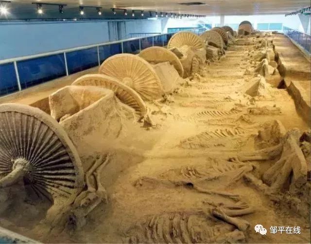 济青高铁什么时候开通,济青高铁济南段