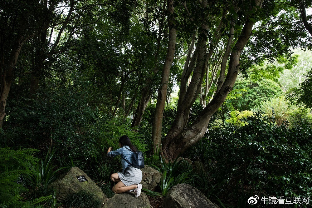 生物学博士谈化妆品,生物学博士护肤