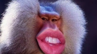 绝地求生：玩家无奈被击中*体下**，网友：一石二鸟，看着蛋疼！