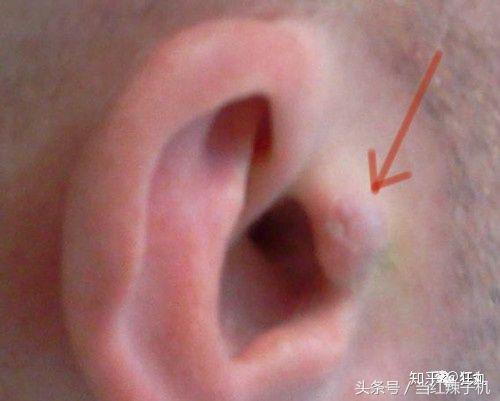 用生命做的科学实验,用生命做实验