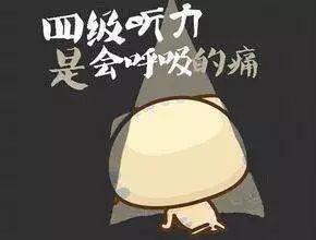 四级听力完全听不懂怎么提高,四级听力听不懂怎么选答案