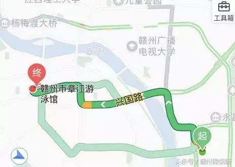 偶像来了刘嘉玲孙杨张继科,好朋友叫傅园慧去约宁泽涛完整版