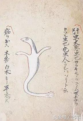 四百年前，日本人给寄生虫画了套漫画？！｜艺术画册