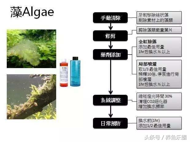 鱼缸丝藻用什么除藻液好用,鱼缸除藻最好方法